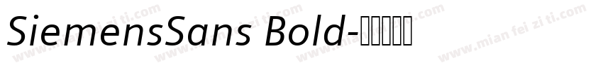 SiemensSans Bold字体转换